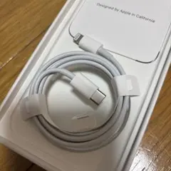 アップル 純正 iPhone ライトニングケーブル 急速 ケーブル タイプC