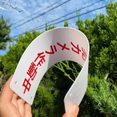 Item thumbnail for item c53c561f-21a9-4a56-8f60-4c57682d4f08