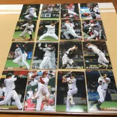 カルビー　プロ野球チップスカード 2011 16枚セット