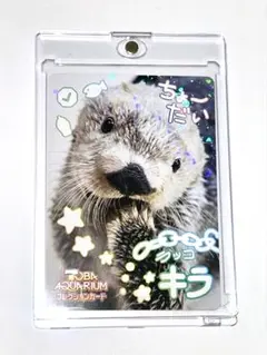 鳥羽水族館 コレクションカード vol.2 ラッコ キラ レア - メルカリ