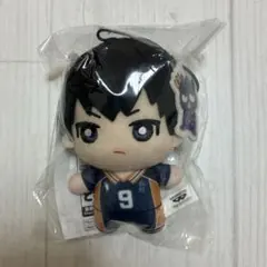 2025年最新】ハイキュー ちみっともぬい vol.1の人気アイテム - メルカリ