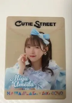 Item thumbnail for item fc6979e6-ae38-4ffb-859b-ffcb760773af