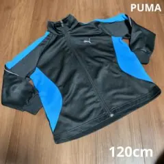 キッズ PUMA 黒青ジャージ 上のみ120