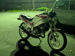 2026年最新】TZR 車体の人気アイテム - メルカリ