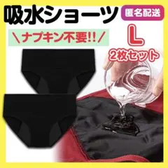 サニタリーショーツ 2枚組 吸水ショーツ Lサイズ 生理ショーツ ブラック 下着
