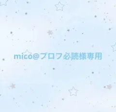 mico@プロフ必読様専用