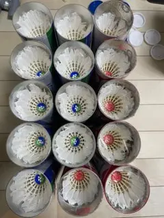 Item thumbnail for item 1c9e9c47-233b-440a-a022-28e1336a4e06