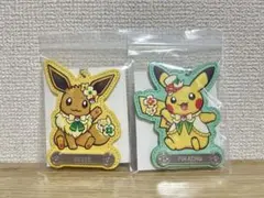 ポケパーク カントー ネーム入り 限定キーホルダー ピカチュウ