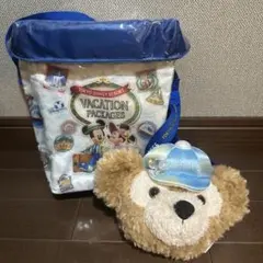 お値下げ！東京ディズニーリゾート バケーションパッケージバッグ