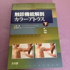 2026年最新】鍼灸師 柔道整復師のための局所解剖カラーアトラスの人気