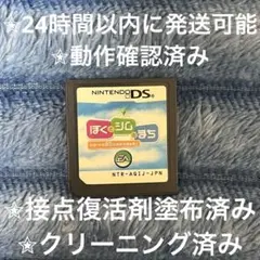 完動品 美品⋆✦ ぼくとシムのまち リゾートに元気をとりもどそう DS カセット
