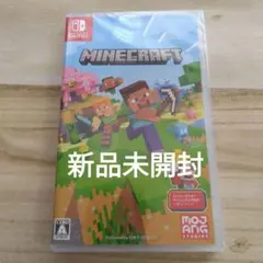 ◆新品未開封◆Minecraft Nintendo Switch