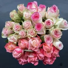花持ち優良！ピンク系MIX【生花・切り花】30cm 30本のサムネイル