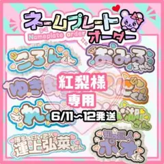 お急ぎ】E r i n a様専用/キンブレシートオーダー/速達 - メルカリ