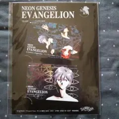 未開封　新世紀エヴァンゲリオン　カード2枚　Eva　レイ　アスカ　シンジ　カヲル