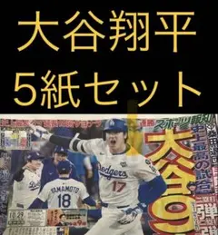 10/29 大谷翔平 ドジャース 「ワールドシリーズ 」スポーツ新聞5紙セット