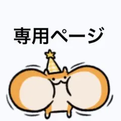 専用ページ