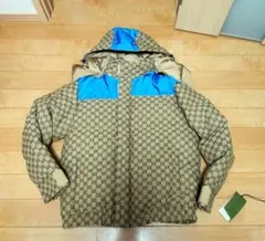 Item thumbnail for item 2a571d93-a1d0-4377-8c2e-ba899c2328b5