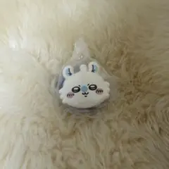 ちいかわ ガチャガチャ きゃらまかろん モモンガ