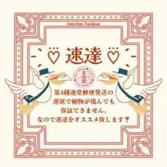 ぴ@平日のみ発送様 リクエスト 2点 まとめ商品