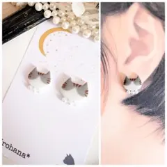お顔ふっくら ハチワレ猫 キジトラ白 ピアス イヤリング