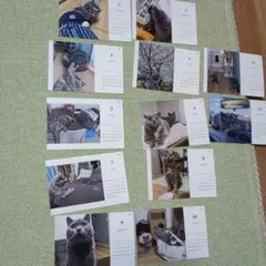 Item thumbnail for item 8eae6406-69de-446e-accc-54e7c8f0dc62