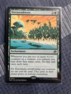 MTG EN 変わり樹の共生/うねる森、変わり樹 ① - メルカリ
