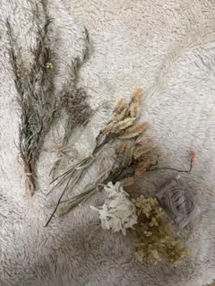ドライフラワーセット