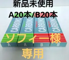 【ソフィー様・専用】ヘルシーレイ治療用カーボン 【新品未使用】 ソフィー様・専用】ヘルシーレイ治療用カーボン 【新品未使用