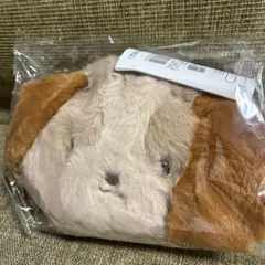 匿名送料込　新品★ディズニーストア　春祭りくじ　わんわん物語　レディ　ぬいぐるみ