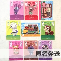 amiiboカード【ケチャップ　＋α　9枚】あつまれどうぶつの森　あつ森　アヒル