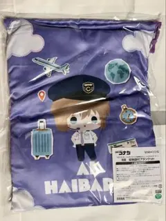 名探偵コナン　セガラッキーくじ　パイロットテーマ　B賞　灰原哀