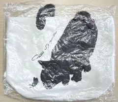 Item thumbnail for item 9e661950-18db-4a90-ab57-24848be867b8