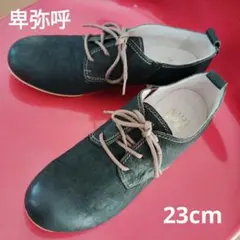 Item thumbnail for item 3a3f5391-7ecd-4acd-a4a0-26b91da5bb1a