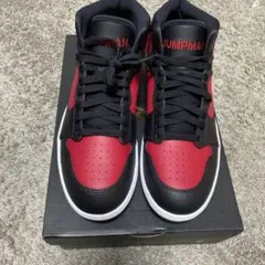 ナイキJORDAN ACCESS ブラック/ホワイト/ジムレッド 27.5cm