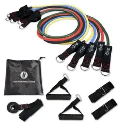 Item thumbnail for item 2d731f1e-8549-4104-8897-9c1e37c48cd6