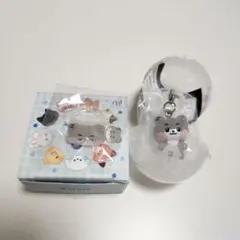 zeroni めじるしアクセサリー 　アクリルリング　ゴニニ zb1