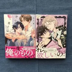 Nセット 商業BL小説 2冊セット まとめ売り - メルカリ