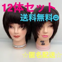 美容学校　国家試験　カットウィッグ付き 2026年最新】国家試験カットウィッグの人気アイテム - メルカリ