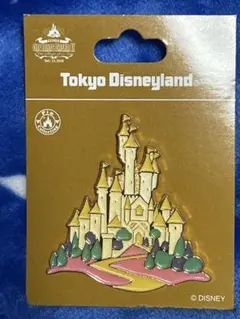 ディズニーランド◆ワンマンズドリームⅡ◆ピンバッジ