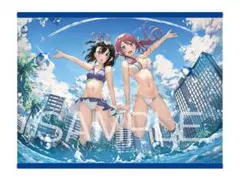 カントク B2Wスエードタペストリーメロンブックス限定版