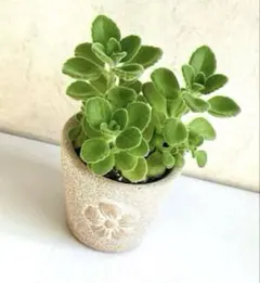 り〜☆゜( プロフ必読)様 リクエスト 2点 まとめ商品