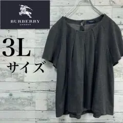 ☆大きいサイズ・44☆バーバリーロンドン　タック入半袖カットソーブラウス　3L