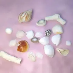 Item thumbnail for item fd169425-7af9-4d1b-ac8b-ba9d003d26d1