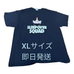 DELTA PRO WEIGHT Tシャツ 黒 XL USA古着　ユニセックス
