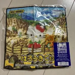 ハローキティ ご当地キティ ハンカチ プチタオル 信州限定野沢菜