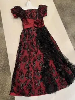 綺麗◆演奏会/パーティ/舞台/撮影/カラー◆赤ワイン＋ペイズリー刺繍レースロング