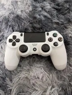 【訳あり品】Dualshock4 ホールエフェクト搭載カスタム