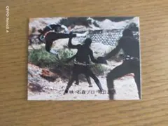 仮面ライダーカード　Ｎｏ２３０