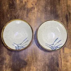 青い草模様の陶器丼 2個セット
